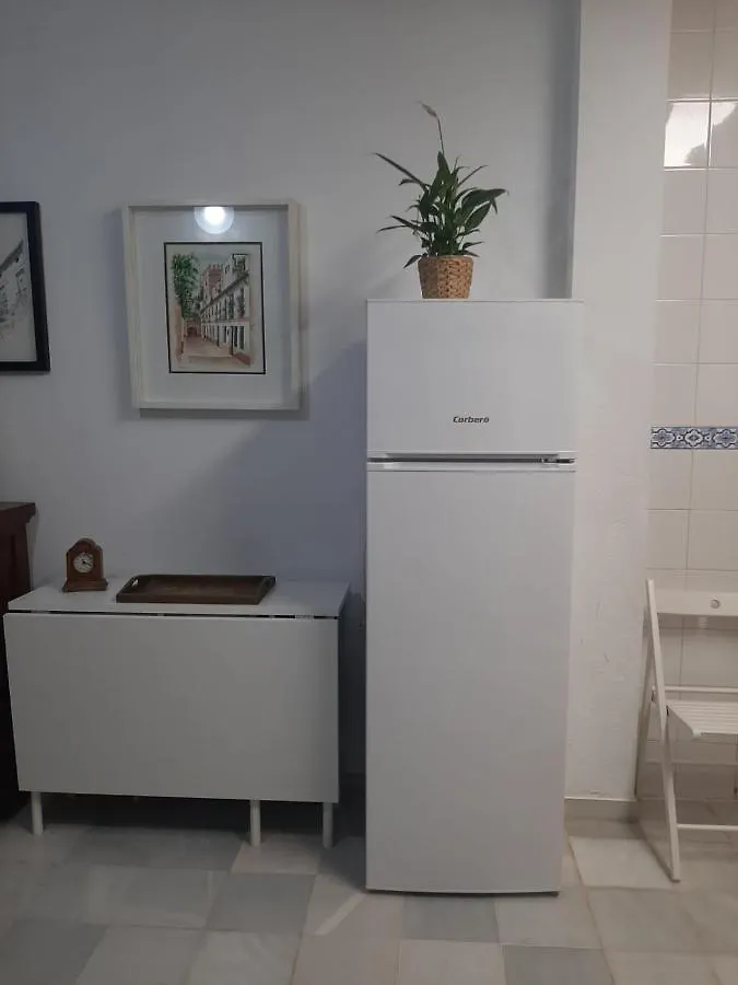 Barrio Santa Cruz Vut-Se-00227 Apartment Seville