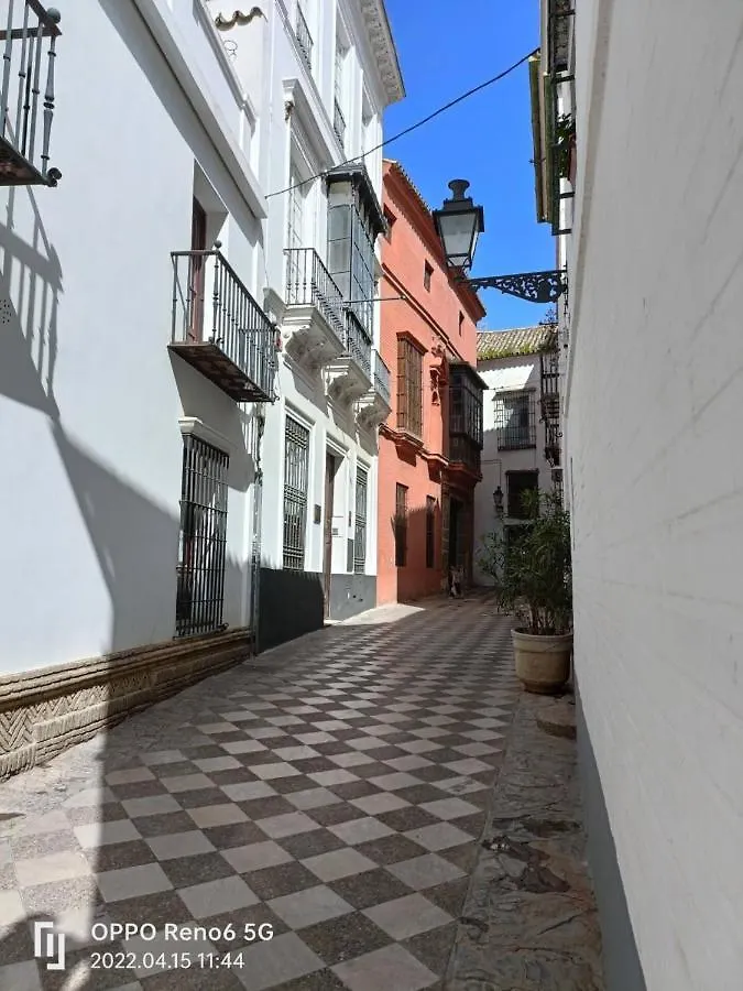 Barrio Santa Cruz Vut-Se-00227 Apartment Seville Spain